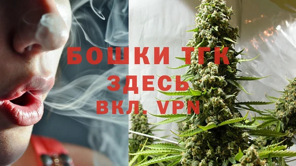 прущие грибы Балахна
